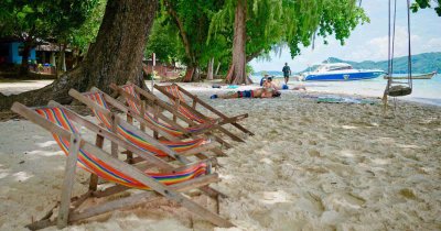 Simba’s Coral Delight