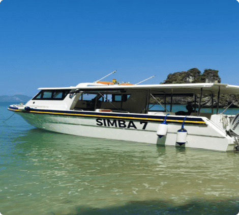 Private Boat Charter – Coral Delight