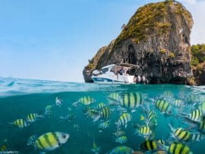 Best ways to Celebrate a Special Occasion in Phuket