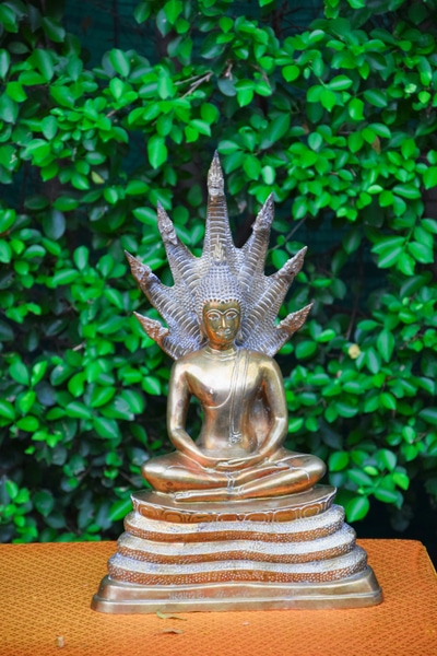 A Statue of the Saturday Buddha Posture sitting on a brown table in front of some green plants