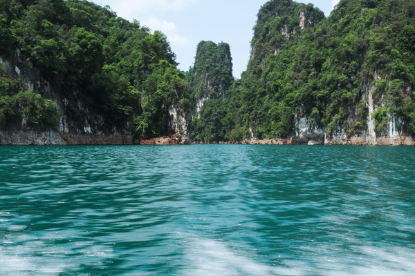 cheow lan lake from the water level looking towards the rainforest