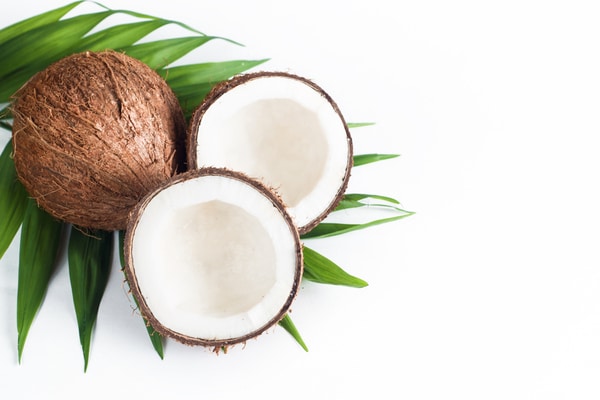 two coconuts cut evenly and placed on a white background
