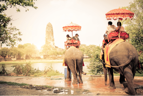 elephant trekking in a glorious Thailand location