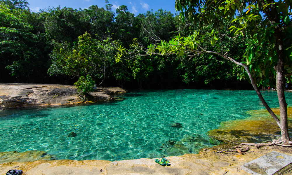 Experience the Emerald Pool in Krabi-1