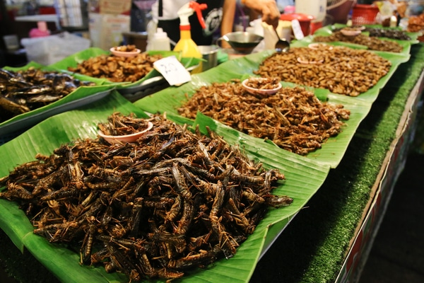 a night market stall full of food at the naka night market