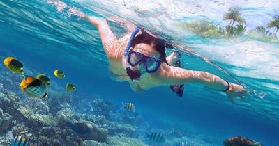 Simba’s Coral Delight