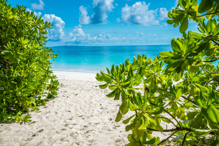 Tachai Island – a Divers Dream-1