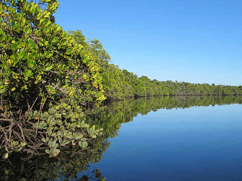 Private Boat Charter – Phang Nga Bay Sunset tour