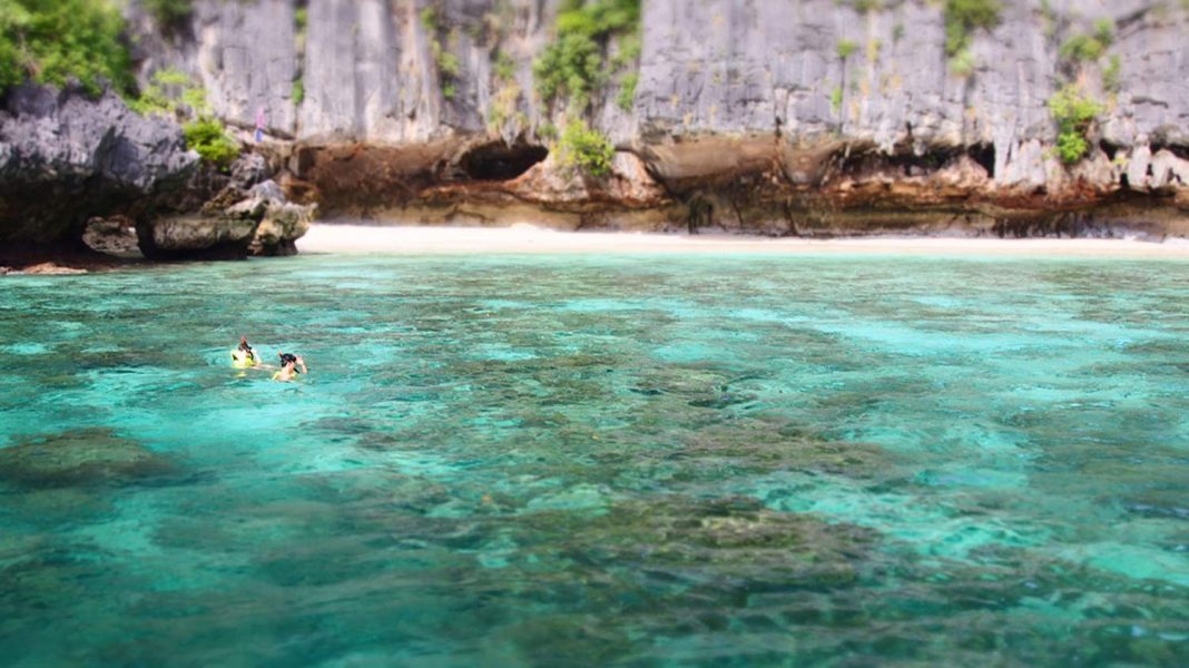 Private Boat Charter – Coral Delight